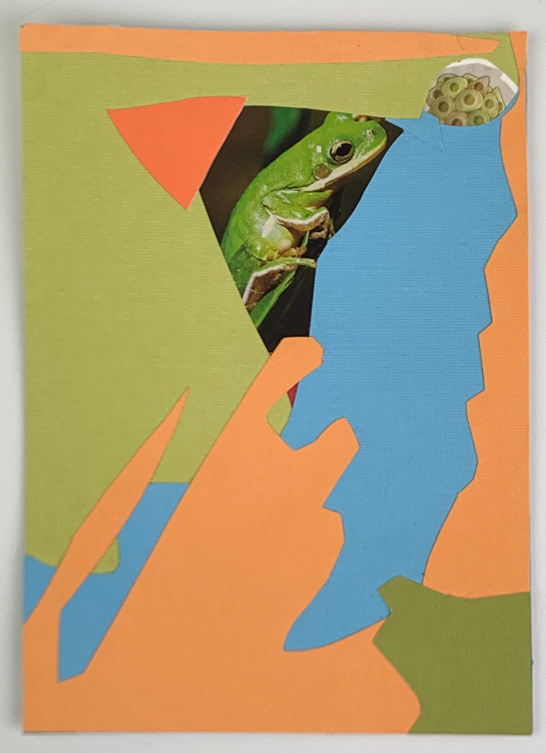 (image for) "The Frog Healer" By Nancy K. Allen